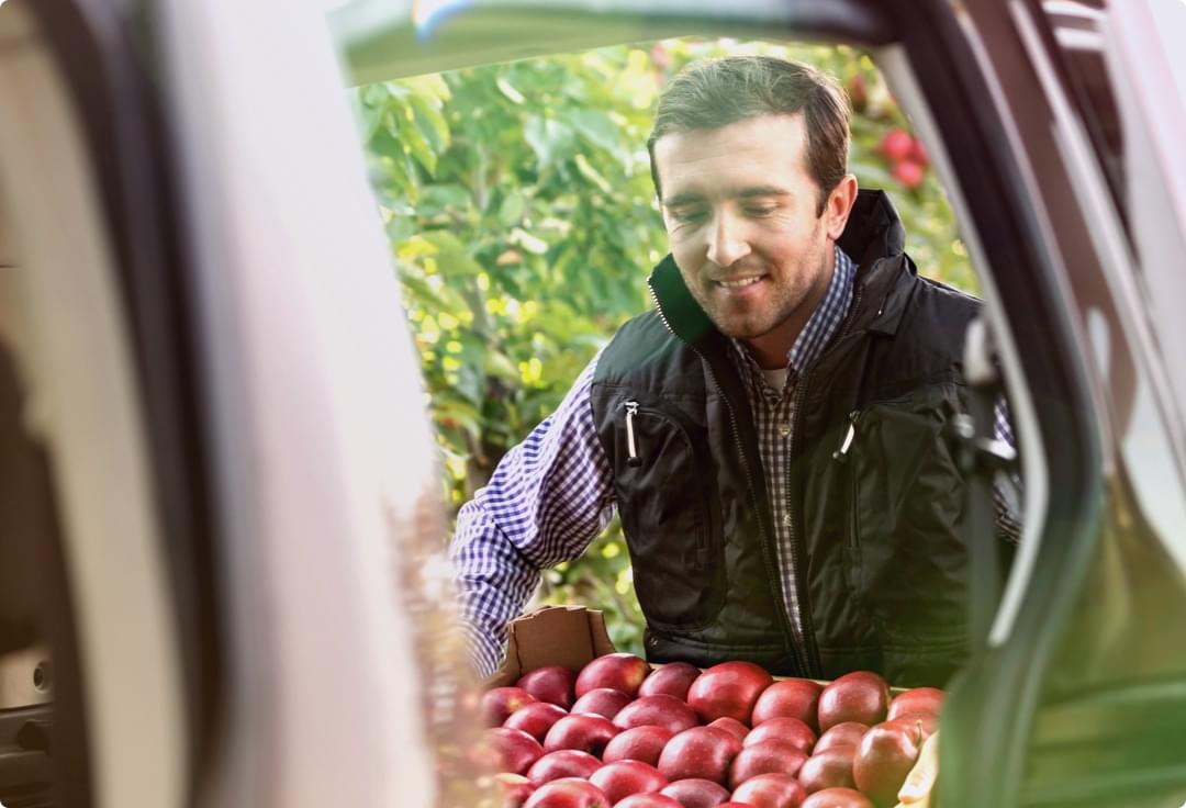 Person loading fruit into a vehicle